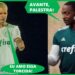 40 ASTROS MUNDIAIS LOUCOS PELO PALMEIRAS – AS ESTRELAS INTERNACIONAIS QUE SE ENCANTARAM COM O VERDÃO