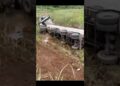 Acidente na BR 262 deixa vítima fatal entre Realeza e Santo Amaro de Minas