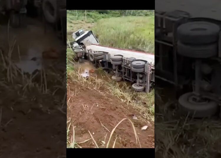 Acidente na BR 262 deixa vítima fatal entre Realeza e Santo Amaro de Minas