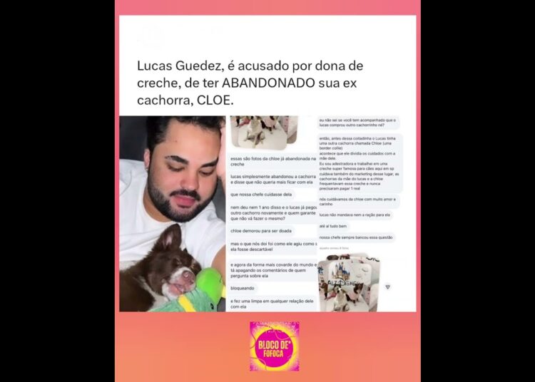 #lucasguedez está sendo acusado de abandonar sua ex cachorra, Cloe. #fofocas #fofoca