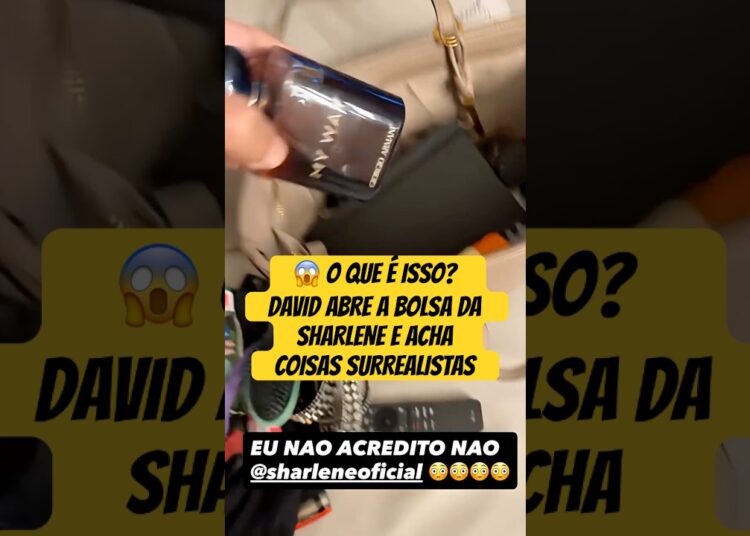O QUE É ISSO? DAVID ABRE A BOLSA DA SHARLENE E ACHA COISAS SURREALISTAS #DAVID #SHARLENE #resenha