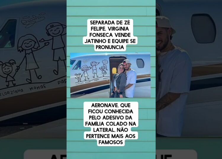SEPARADA DE ZÉFELIPE, VIRGINIAFONSECA VENDEJATINHO #noticias #fofoca