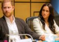 Príncipe Harry e Meghan criticam autor de novo livro sobre a realeza por 'conspiração maluca' | Notícias