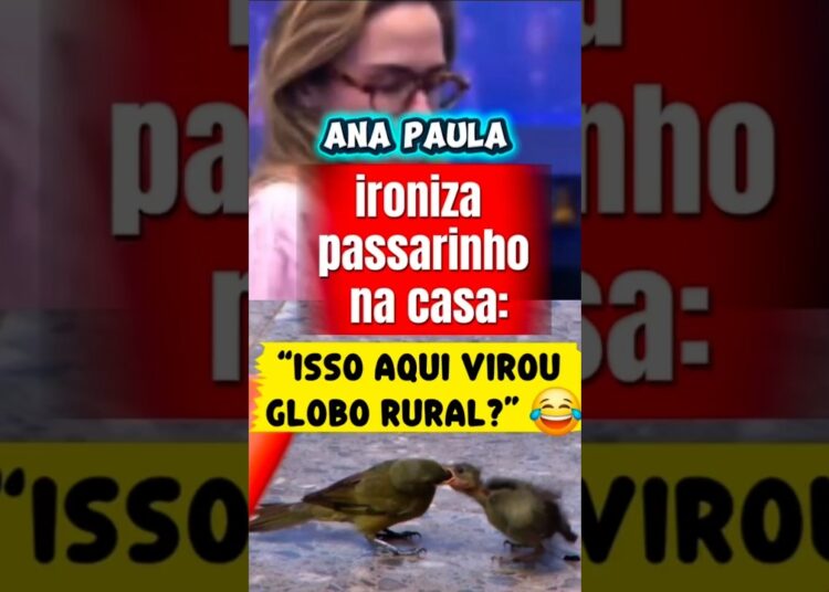 PASSARINHO ENCANTA A CASA, MAS ANA PAULA NÃO GOSTA “ISSO AQUI NÃO É GLOBO RURAL”