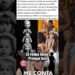 Zé Felipe defende seus filhos e revela como lida com as fofocas na internet 👶❤️