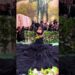 What Celebrities Look Like Leaving the Hotel vs Arriving at the Met Gala!😳😱
