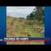 Trator tomba e mata trabalhador de 49 anos em Realeza (PR)