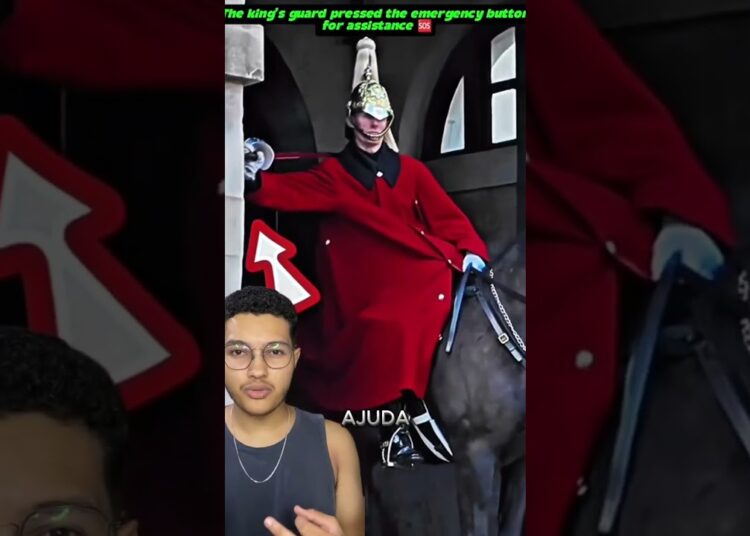 Ela estava provocando o cavalo real até que o guarda tomou uma atitude #cavalo #rainha #rei #guarda