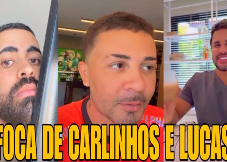 RONINHO CONTOU AS FOFOCAS DE CARLINHOS MAIA DESCONFIA DE LUCAS GUIMARÃES😱🤭🤣