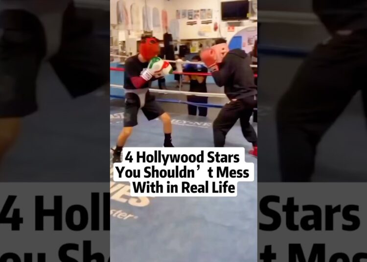 4 Hollywood Stars you should’t mess with in real life #celebritynews #famous #hollywood #fyp