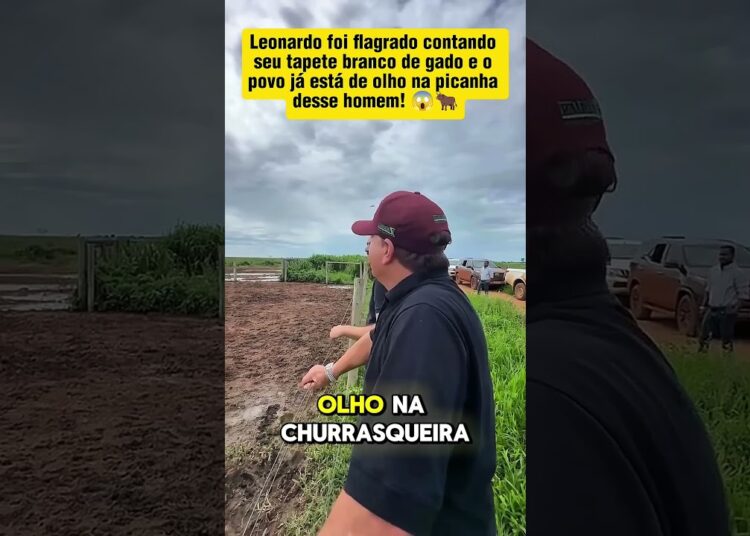 LEONARDO TENTANDO CONTAR AS 29 MIL CABEÇA DE BOI! #fofoca #celebridades #famosos