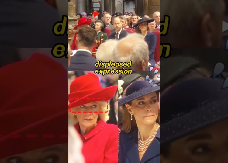 Camilla’s jealous gaze!#celebrity #yputubeshorts #shorts #shortsvideo #royal