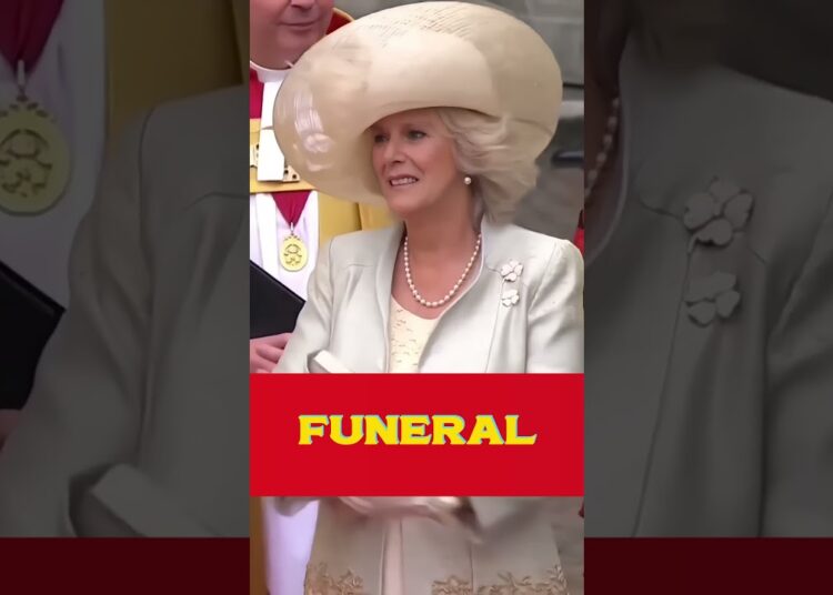 ¿Por qué Camilla nunca podrá reemplazar a Diana? #reinaCamilla #princesadiana #realeza