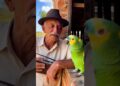 Esse Papagaio Não Perdoa! O Segredo da Realeza Foi Revelado! #Shorts #Comédia #Meme #Viral #fy