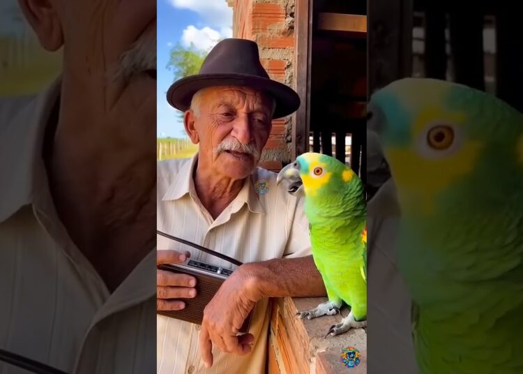 Esse Papagaio Não Perdoa! O Segredo da Realeza Foi Revelado! #Shorts #Comédia #Meme #Viral #fy