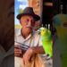 Esse Papagaio Não Perdoa! O Segredo da Realeza Foi Revelado! #Shorts #Comédia #Meme #Viral #fy