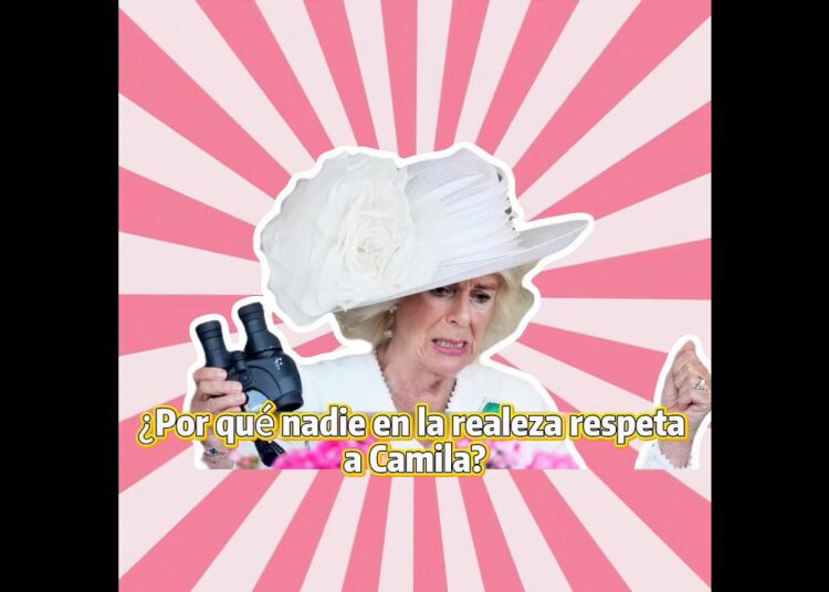 ¿Por qué nadie en la realeza respeta a Camila?