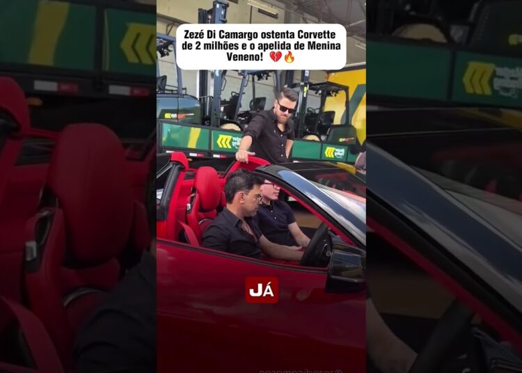 ZEZÉ OSTENTA CORVETTE DE 2 MILHÕES E O APELIDA DE MENINA VENENO! #fofoca #celebridades #famosos