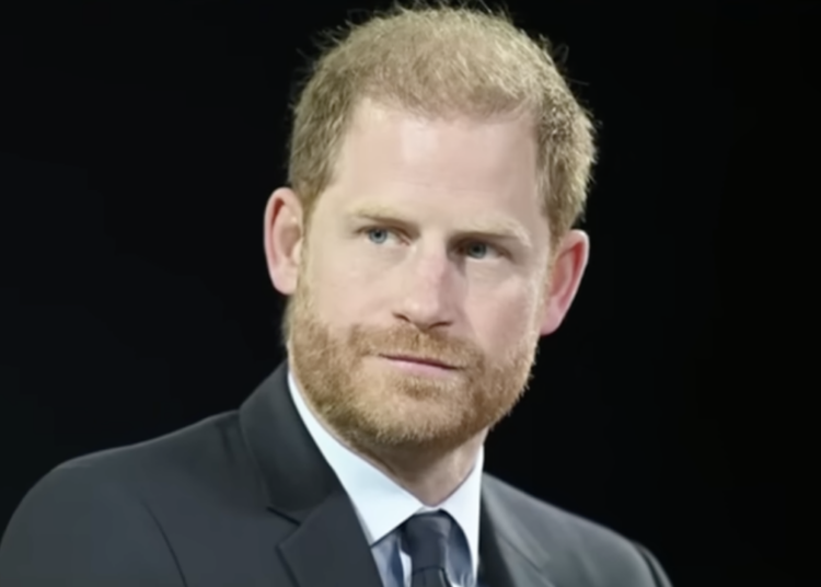 A arma secreta do Príncipe Harry? Veja como Archie e Lili poderiam acabar com a rivalidade real