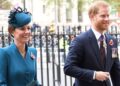 A visão selvagem do Príncipe Harry sobre a vida de 'caipira' da Princesa Kate | Real | Notícias