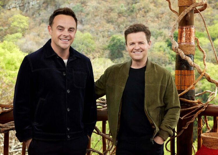 Alinhamento de I'm A Celebrity South Africa confirmado pela ITV | TV e Rádio | Showbiz e TV