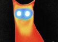 Basement anuncia novo LP 'Wired', estreia videoclipes para a faixa-título e “Broken By Design”