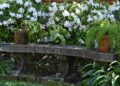 Bem-vindo a um jardim cheio de azáleas em Uptown New Orleans | Entretenimento/Vida
