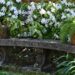 Bem-vindo a um jardim cheio de azáleas em Uptown New Orleans | Entretenimento/Vida