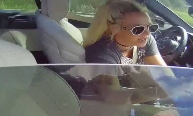 Britney Spears listou sua ocupação como 'celebridade' na folha de reserva após prisão por DUI