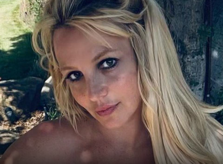 Britney Spears não liderou policiais em Wild Chase, apesar dos relatos