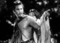 CATS precisa de voluntários para Rashomon | Entretenimento