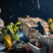 Co-ator de 'Deadliest Catch' diz que a morte de Todd Meadows foi filmada