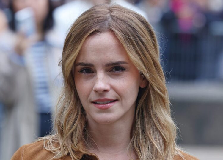 Como Emma Watson se sente em relação a Gonzalo Hevia Baillères em meio a um novo romance
