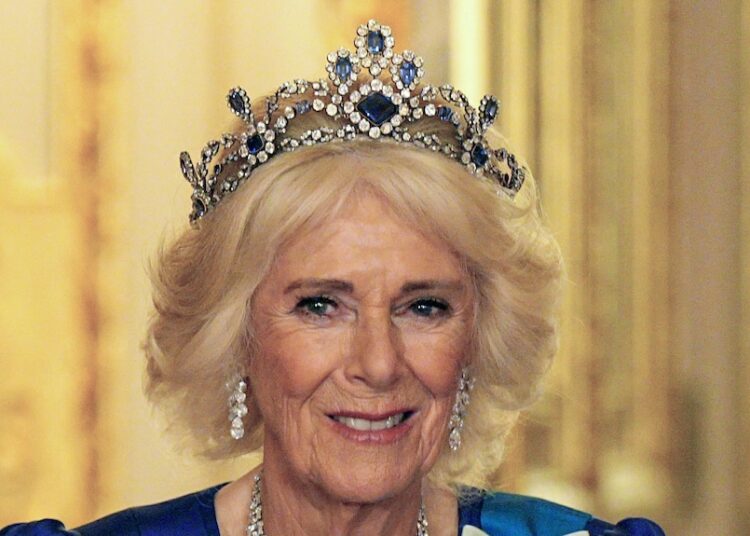 'Conspiração perturbada': Príncipe Harry e Meghan lançam novo livro sobre a realeza