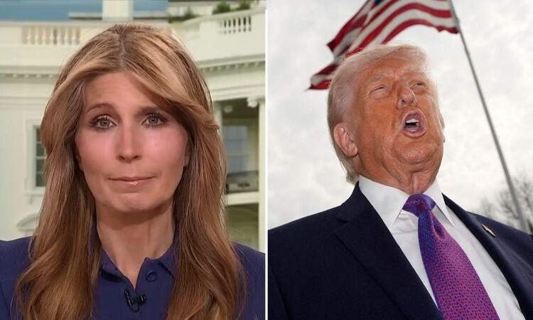 Donald Trump é ‘muito sensível’ sobre o que dizem as pessoas ‘mais famosas do que ele’, afirma Nicolle Wallace