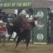 Evento Bulls & Beats no Colorado State começará com rodeio de estrelas