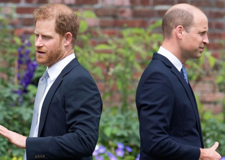 Família Real AO VIVO: Especialista real dá atualizações devastadoras sobre a briga do Príncipe William e Harry | Real | Notícias