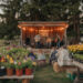 Farm Market em Yellow Point revela vibrante local de música ao vivo - um novo centro cultural floresce
