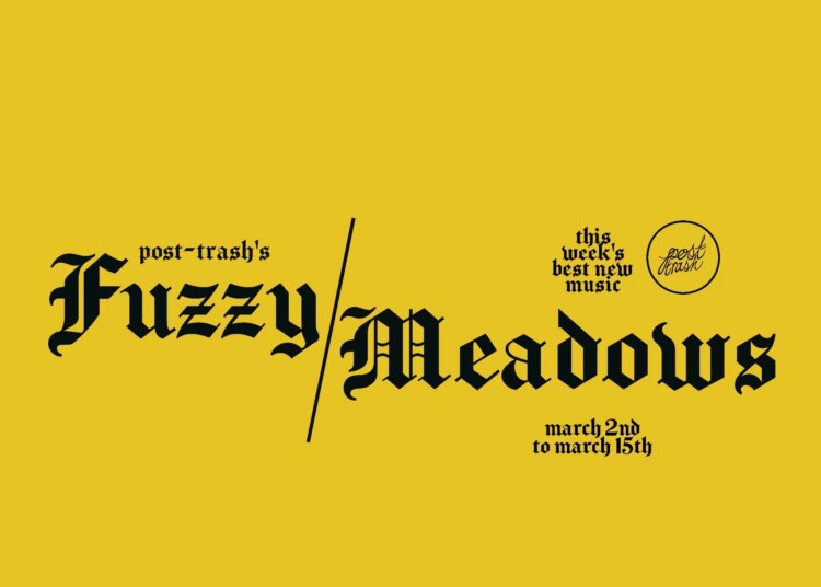 Fuzzy Meadows: as melhores músicas novas da semana (2 de março