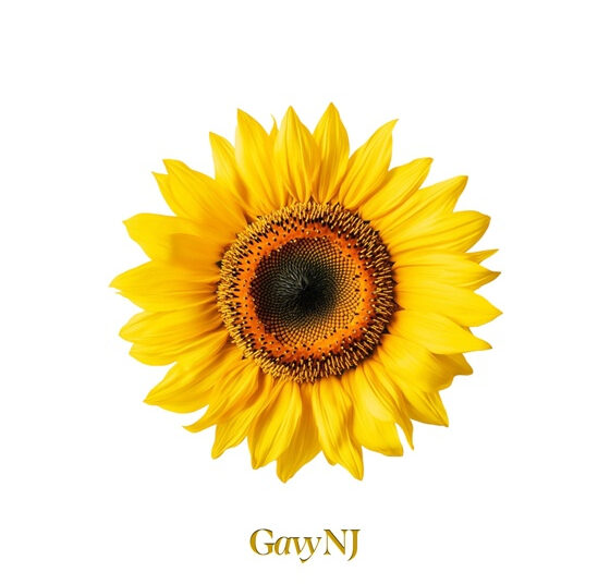 GABINJ lança remake da nova música ‘Sunflower’ hoje (3º)