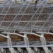 Glenview adia implementação de novas restrições de zoneamento