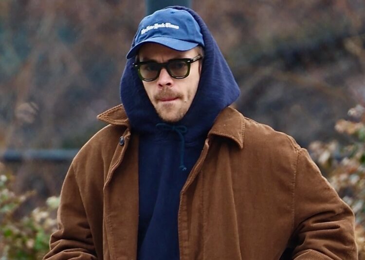 Harry Styles faz passeio solo por Nova York | Estilos de Harry | Notícias e fofocas sobre celebridades | Entretenimento, fotos e vídeos