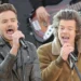 Harry Styles reflete sobre a morte de Liam Payne e a luta pela dor pública