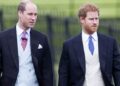 Harry and William’s ongoing fight revealed latest royal discussion