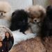 Kim Kardashian ignora a reação da PETA ao compartilhar fotos dos quatro novos cachorrinhos de seus filhos