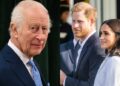 King Charles, royal family ‘raise eyebrows’ on Harry, Meghan announcement