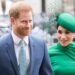 Lipreader decodifica a observação brutal de 7 palavras do Príncipe Harry em evento importante | Real | Notícias