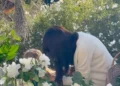 Meghan Markle se defendeu após ser acusada de 'encenar' um vídeo com a princesa Lilibet e o príncipe Archie