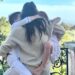 Meghan ‘quer que seus filhos tenham a mesma exposição’ que George, Charlotte e Louis | Real | Notícias
