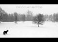 Nova capa: “Valley Winter Song”